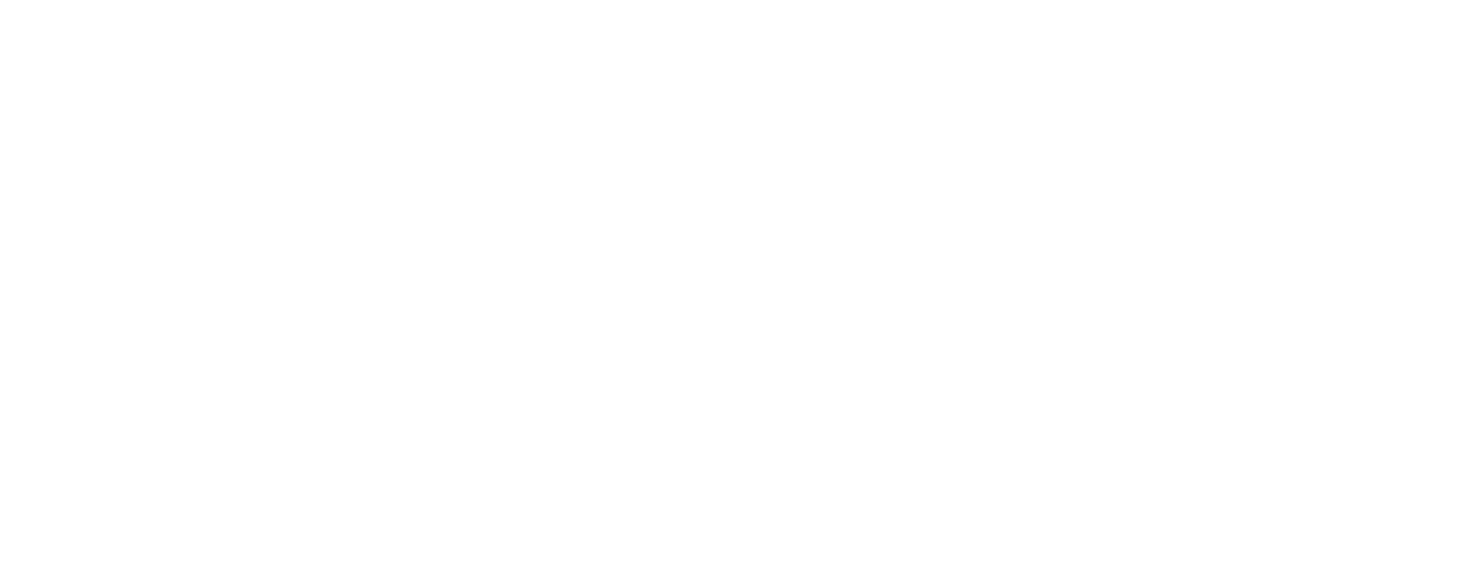 Company Road Logo White